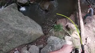 Tonto Creek - Trout Fishing During Monsoon Season