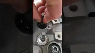 Summit LS Dual Valvespring Upgrade Kit