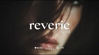 Nervous memory - Reverie soul