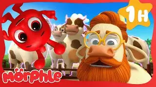 Baby Morphle’s Hide & Seek Adventure! | Morphle | Moonbug Kids Dinosaur Animal Show!