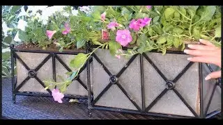 French Garden Rectangular Planters