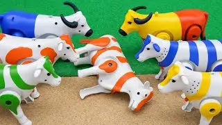 SAPI🐄‼️🐄 WADIDAU COW LOADING ON TURBO TRUCK, COLOURFUL COW CARTOON VIDEO SAPILUCU 