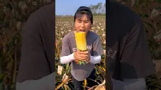 Fresh eating pineapple juice #trending #fruit #yummy #viral #2026