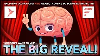 THE BIG REVEAL! - Brand New Application for Flare / Songbird! (Official Debut!)