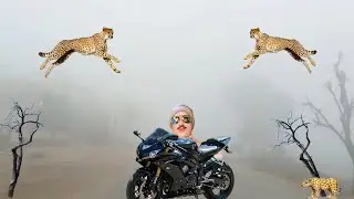 سرائیکی وسیب ویلوگ اسلام و علیکم دوستو آج آپ کو یو نیک ویلوگ دیکھا تے ہیں دیکھیے،👁 شکریہ Ⓜ📧®©❗