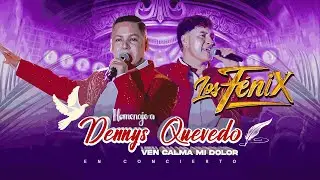 Homenaje a Dennys Quevedo - Ven Calma Mi Dolor - Agrupación Los Fénix
