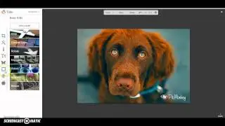 Pic Monkey App Demonstration