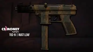 CS:GO | Tec-9 - Rust Leaf