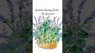 🪻The Lavender - Stay calm, even when it&rsquo;s loud. 💜 #quotes