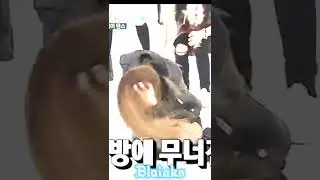 When Jennie hit by a hammer 💔 #Jennie#Blink#Blackpink