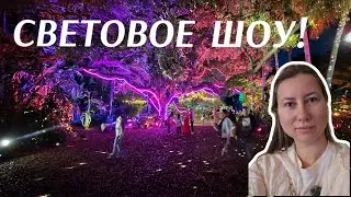 Магическое Световое Шоу в Майами!
