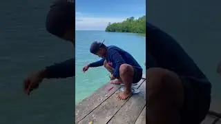 Mancing ikan didermaga pantai,dapat ikan ini🤤 #66  #KOOKIKO