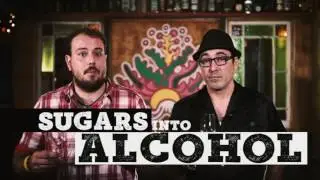 FDM Tequila Education | Fine Drinks Movement