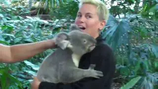 Long Awkward Hug with a Koala Bear