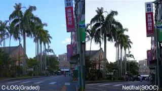 Canon EOS R C LOG vs Neutral Picture Profile