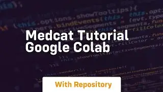 medcat tutorial google colab