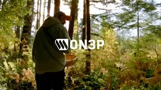 ROOTY PRO \\\ RUDY LEPINE