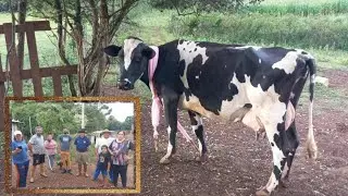 QUEM TEM AMIGOS TEM TUDO ,PRESENTE RECEBIDO ,SÓ GRATIDÃO 