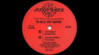 Peace Of Mind - Momentum 138 Atmosphere records 1992