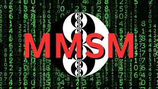 ICT MMSM Execution