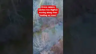 Дрон заснял двух бигфутов, плывущих по реке и бьющихся о деревья! | Шорты от Squatch Watchers