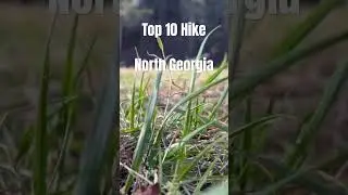 Top 10 Hike in North Georgia #hiking #hike #outdoors #waterfall