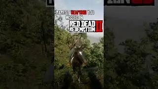 2 мощных места с оружием в RDR2