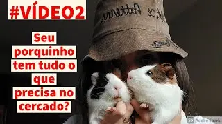 Todos os itens necessários para um cercado de porquinho da índia!