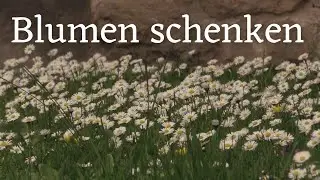Unterwegs in Fulda