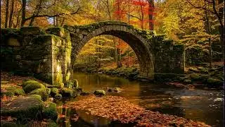 Autumn Calm and Peaceful Vibes 🌾 Relaxing Music for Mind Clarity, Focus & Inner Balance