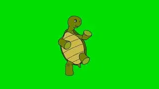 Running turtle 🐢 || Green Screen Background