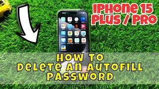 iPhone 15 / Plus / Pro How to Delete an Autofill Password