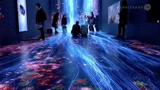 teamLab: Transcending Boundaries / Pace London