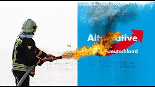Wer hat der AfD 5 Millionen Flyer geklaut?