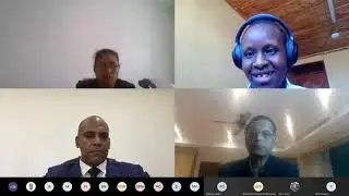 Webinar: Can effective coordination fast track universal energy access?