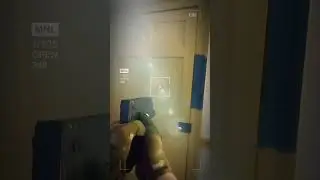 real life fps?
