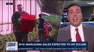 Cannabis stocks fly high as Amazon sets sights on a new Target
