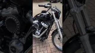 Harley Davidson 2020 Softail Standard with mods