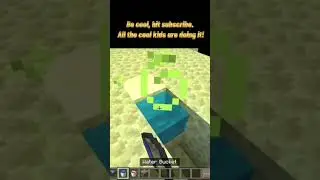 #roham #mincraft #tricks #pro #elytra #reels #mems #minecraftbuilding #mini