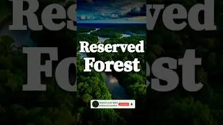 Заповедный лес, класс X, глава по географии, лесные и дикие ресурсы | #заповедныйлес #класс10