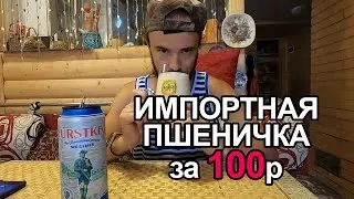 ПИВО F&Uuml;RTSKEG WEISSBIER (ФЮРСТКЕГ ВАЙСБИР). ПШЕНИЧКА ИЗ ПЯТЁРОЧКИ ЗА 100р. #beer #пиво #beerreview