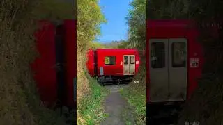 Almost like a Ghibli Movie | Japan Vlog | #travel #trains