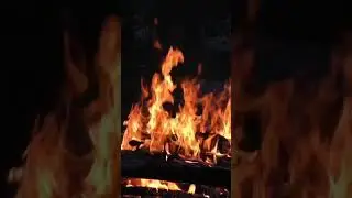 The crackle of fire. The warmth of stillness. Let it carry you to a calmer place. 🔥🌲 #fireShorts