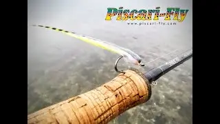 Saltwater FlyFishing for Seatrout in Ireland