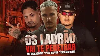OS LADR&Atilde;O VAI TE PENETRAR - POLO NA VOZ, ESCAMA REELS E MC RICARDINHO - (REMIX BREGA FUNK)
