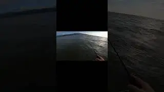 &Lambda;&alpha;&beta;&rho;ά&kappa;&iota; &mu;&epsilon; Wading &sigma;&epsilon; Bassday Logsurf 124f #fishing