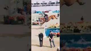 Chalou genes🧬/CREDITS: @katekaveli.ph ||  #horse #funny #shorts