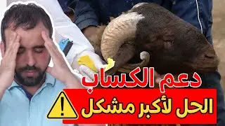 دعم الكساب💵 | ها الحل ديال أكبر المشاكل في الاحصاء🔴