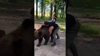 Wrestling with bear and man boxer Arslanbek Makhmudov