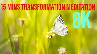 Drum Meditation Music 🧘🏼&zwj;♀️⭕Grow into amazing,relax,meditate,focus,love,powerful,healing,relaxation,